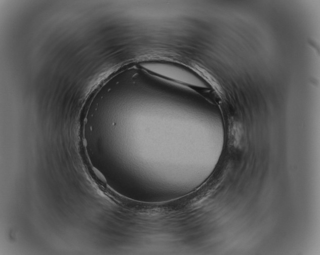 X0000091310485200708241117