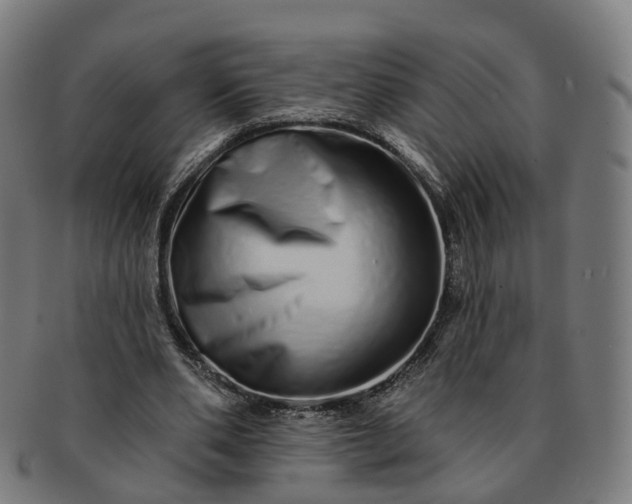 X0000091310486200708241117