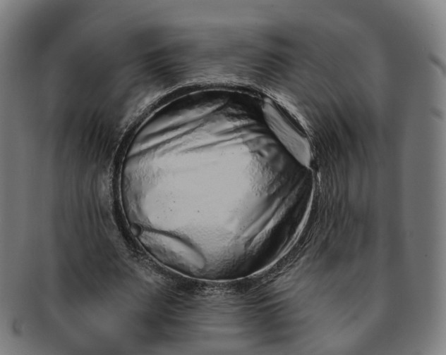 X0000091310487200708241117