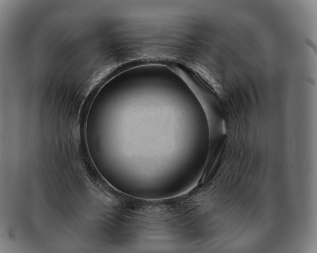 X0000091310488200708241117