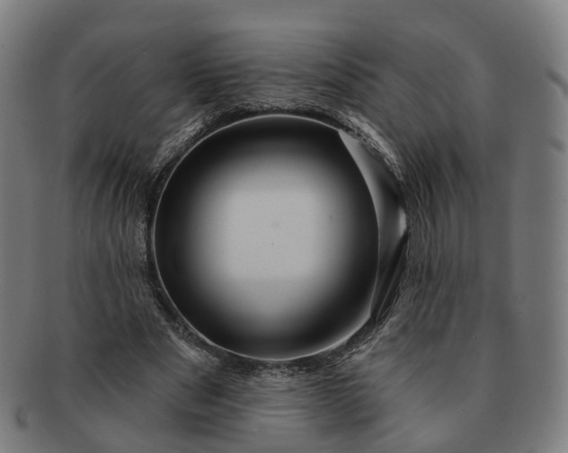 X0000091310489200708241117