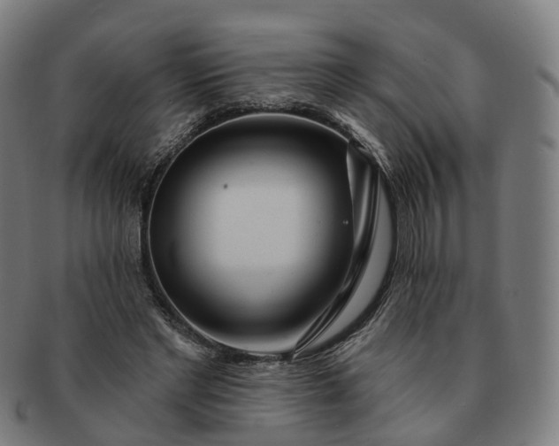 X0000091310493200708241117