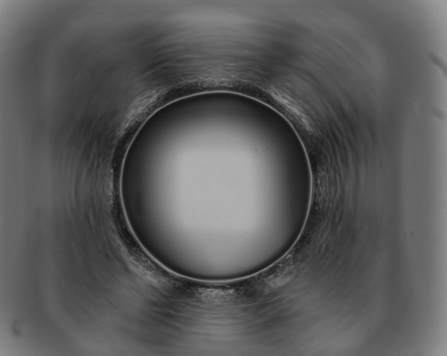 X0000091310494200708241117