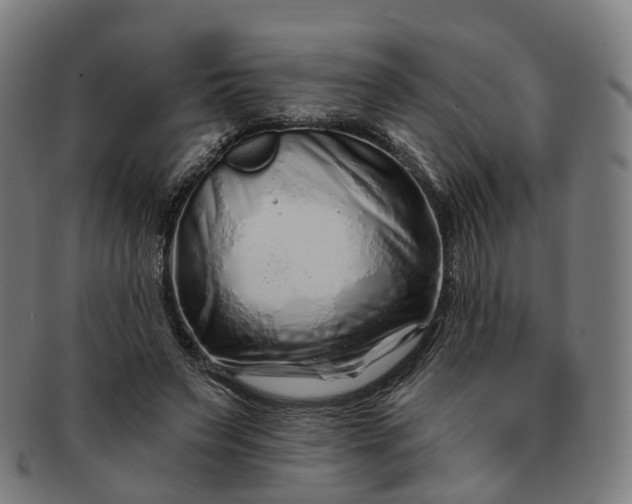 X0000091310495200708241117