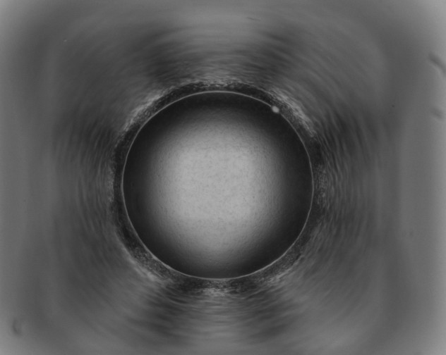 X0000091310496200708241117