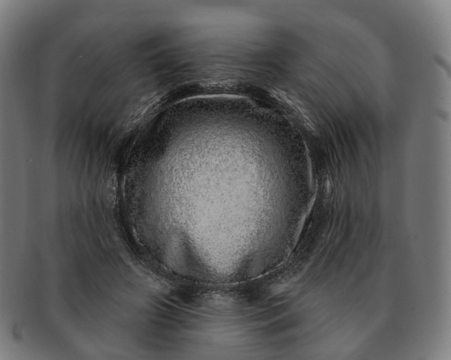 X0000091310498200708241117