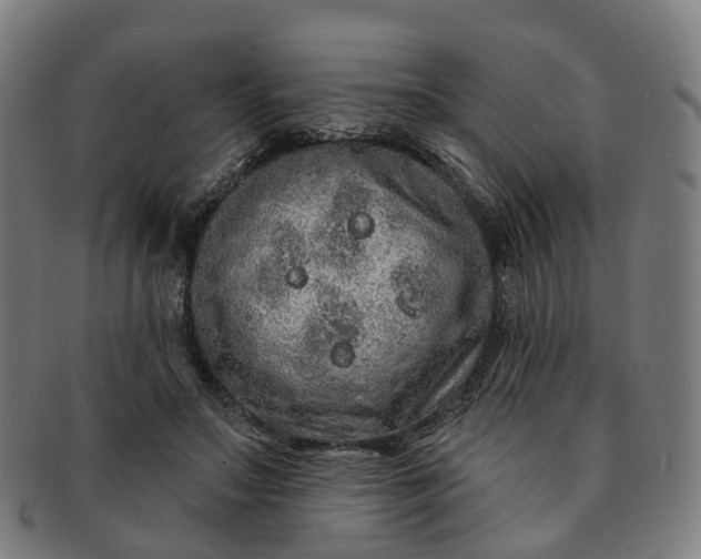 X0000091310499200708241117