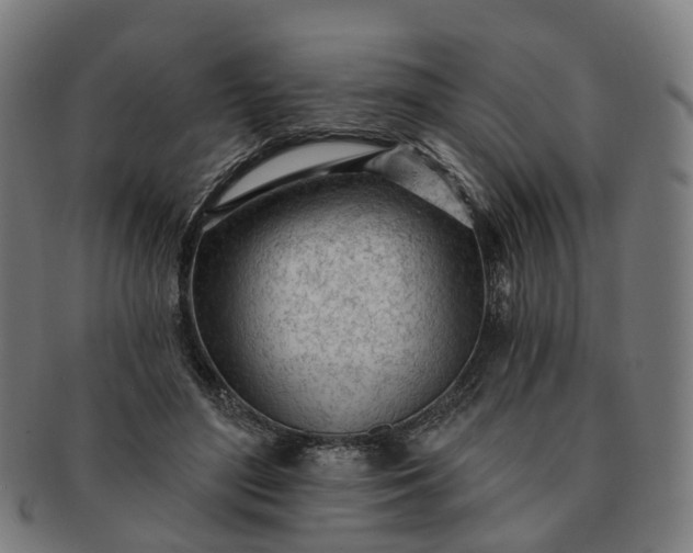 X0000091310500200708241117