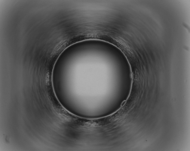 X0000091310502200708241117