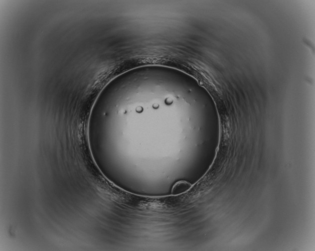 X0000091310503200708241116