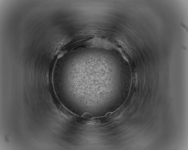 X0000091310504200708241116