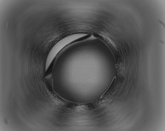 X0000091310505200708241116