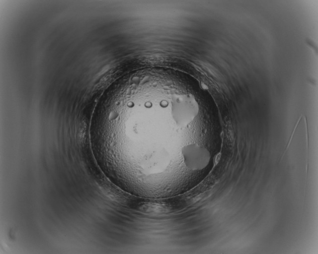 X0000091310507200708241116