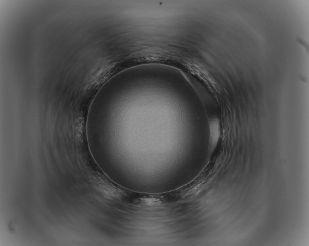 X0000091310509200708241116