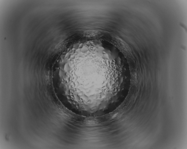 X0000091310510200708241116