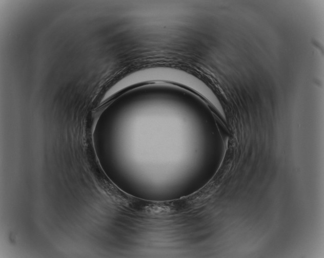 X0000091310512200708241116