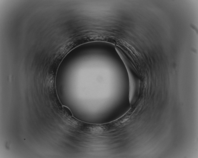 X0000091310513200708241116