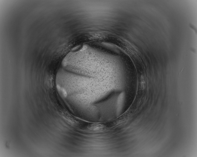 X0000091310514200708241116