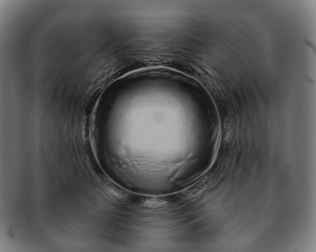 X0000091310515200708241116