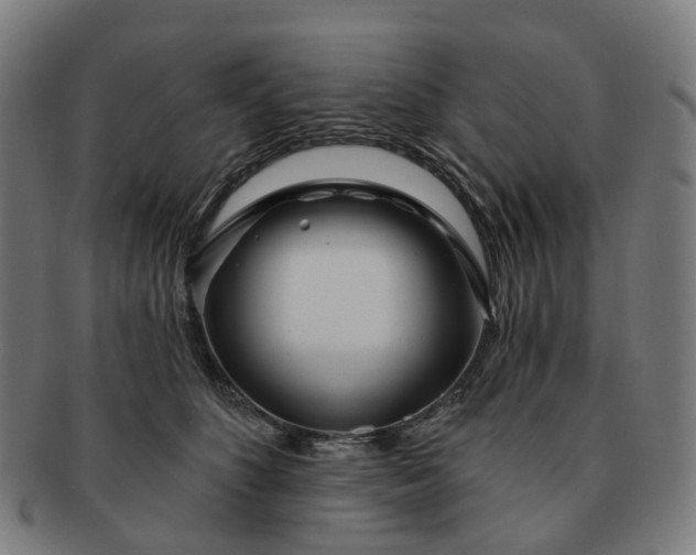 X0000091310516200708241116