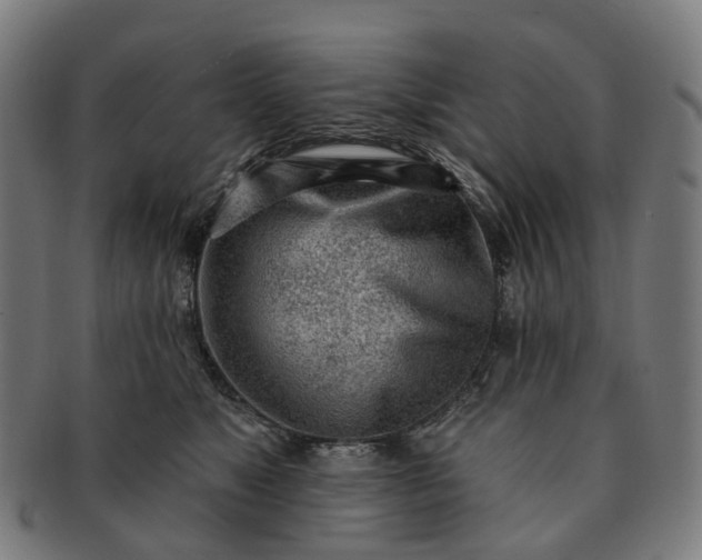 X0000091310517200708241116