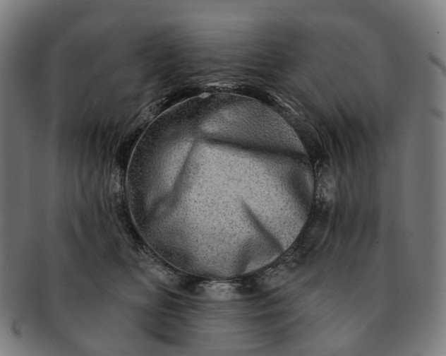 X0000091310518200708241116