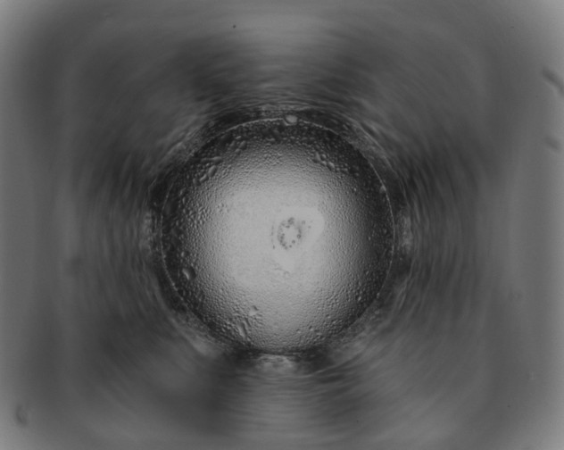 X0000091310519200708241116