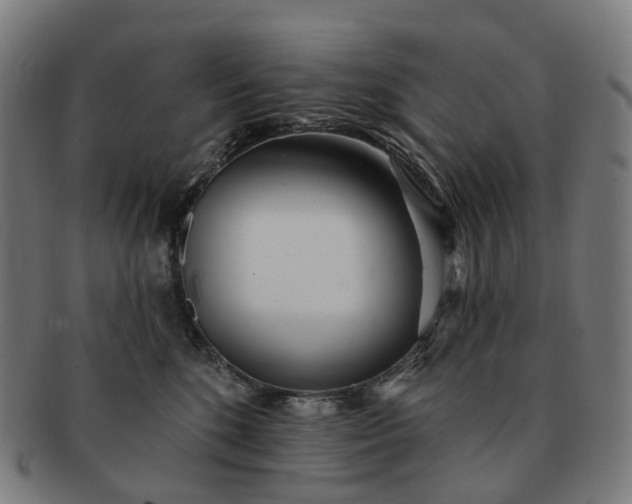 X0000091310520200708241116