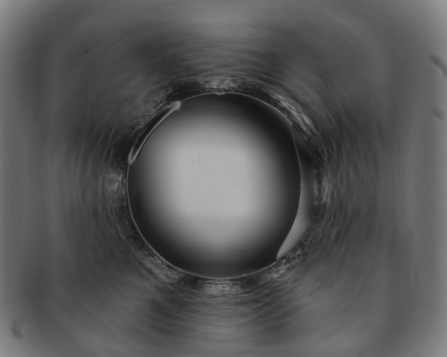 X0000091310521200708241116