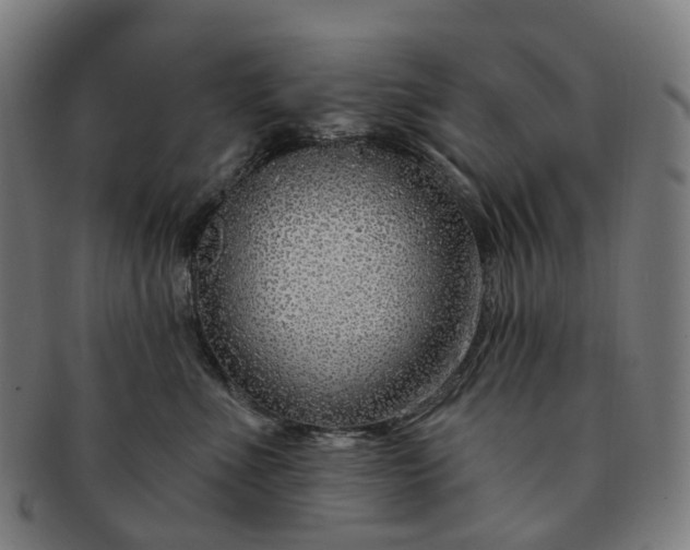 X0000091310523200708241116