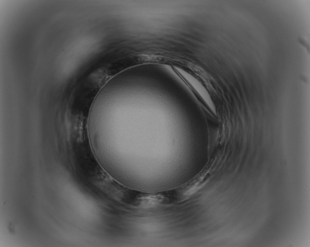 X0000091310525200708241116