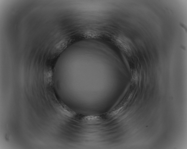 X0000091310526200708241116