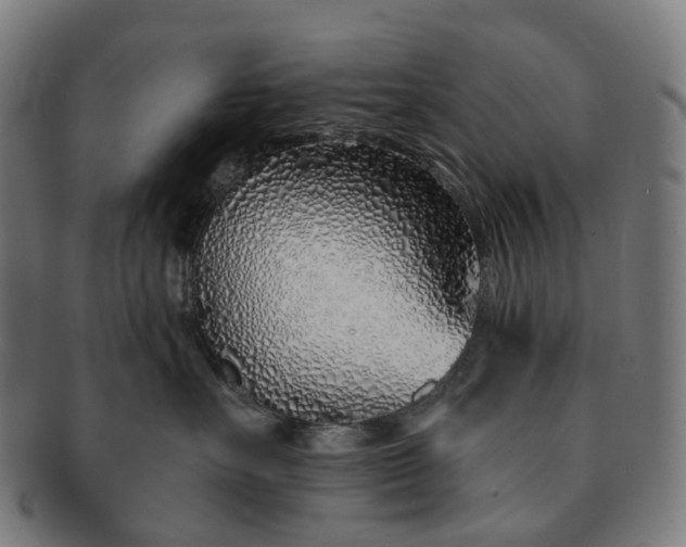 X0000091310527200708241116