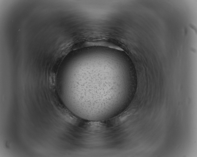 X0000091310528200708241116