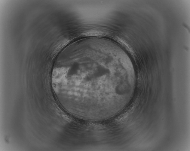 X0000091310529200708241115