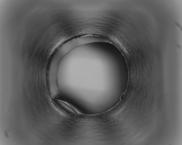 X0000091310530200708241115