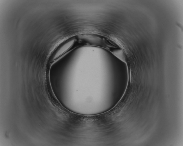 X0000091310531200708241116