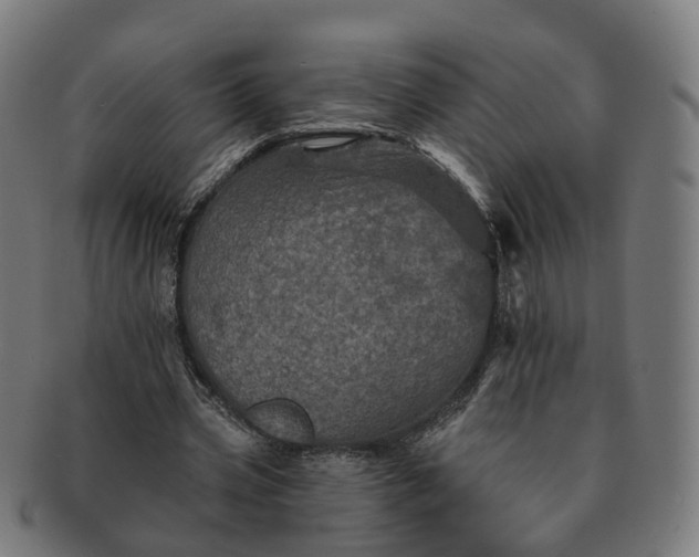 X0000091310533200708241116