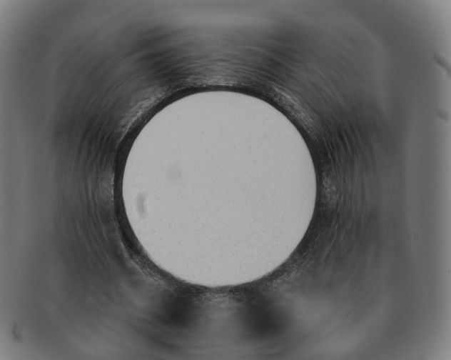 X0000091310534200708241116