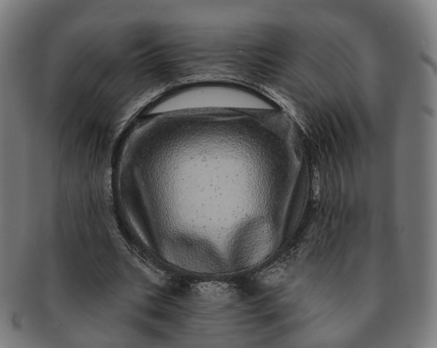 X0000091310535200708241116