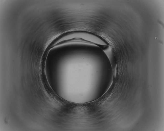 X0000091310536200708241116