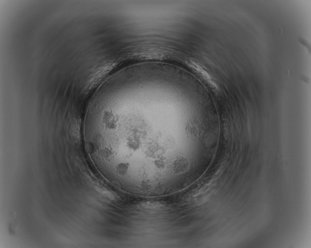 X0000091310537200708241116