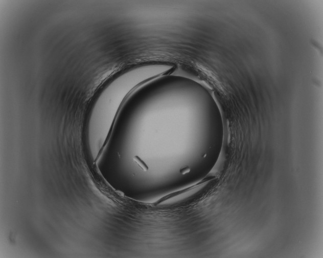 X0000091310538200708241116