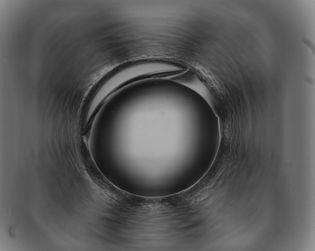 X0000091310540200708241116