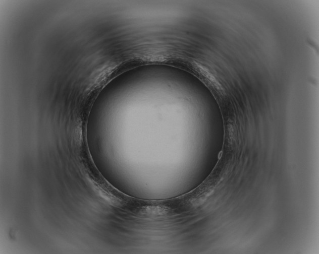 X0000091310541200708241116