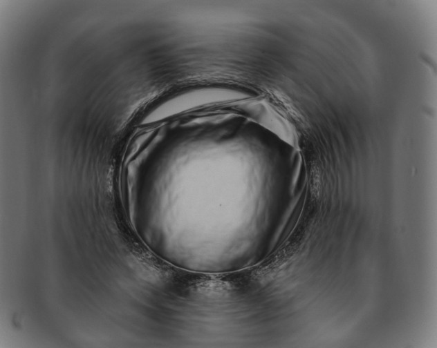 X0000091310543200708241116