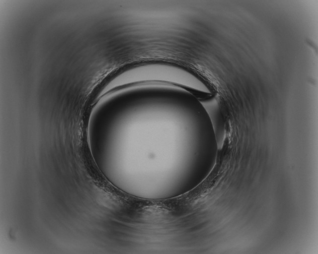 X0000091310544200708241116