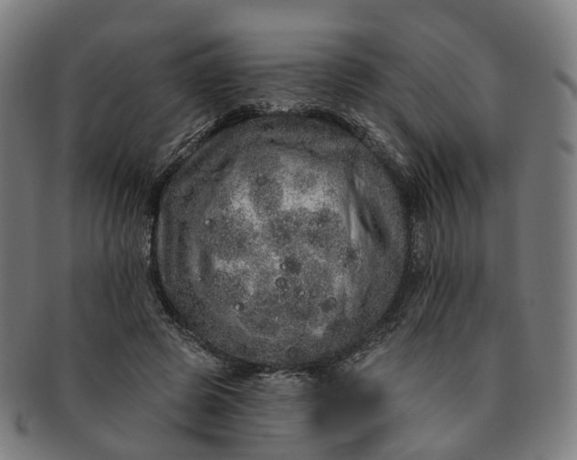 X0000091310545200708241116