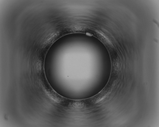 X0000091310546200708241116