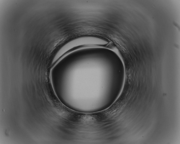 X0000091310547200708241116